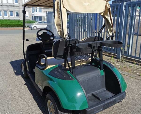 gebrauchte-golfcarts-TXT-grün-hinteransicht